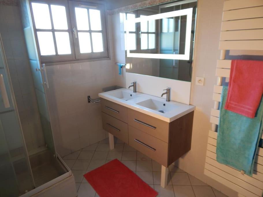 St Malo Maison Avec Jardin Proche Gare Plage Intramuros Chien Admis Parking Gratuit Saint-Malo Dış mekan fotoğraf